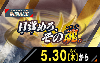 イベントバトルモード 目覚めろ、その魂。