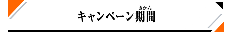 キャンペーン期間