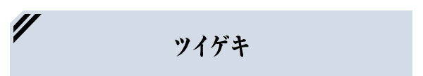 ツイゲキ