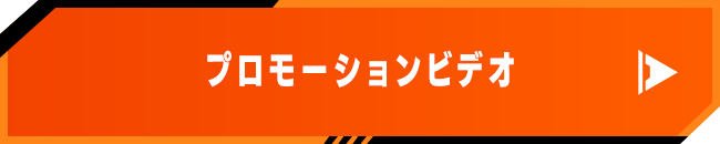 プロモーションビデオ