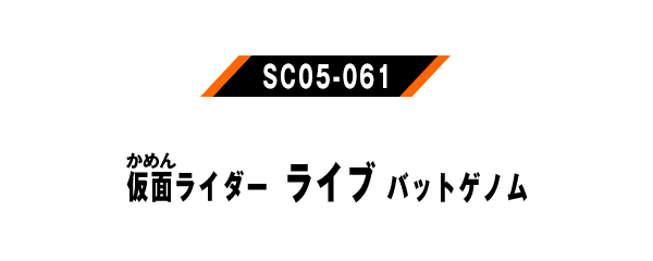 SC05-061