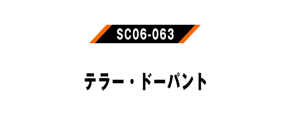 SC06-063