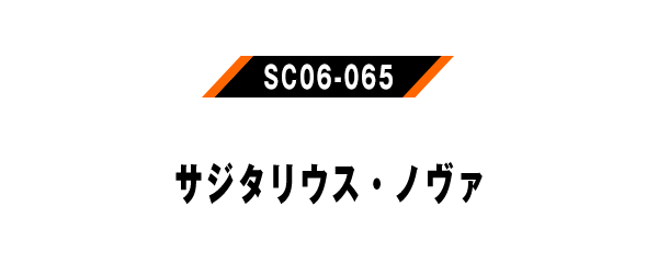 SC06-065
