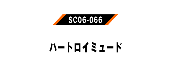 SC06-066