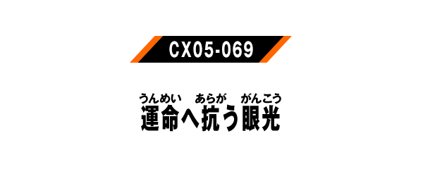 CX05-069