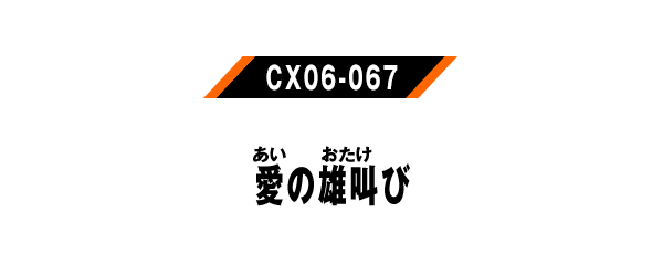 CX06-067